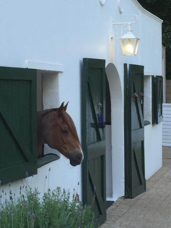 Bed and Breakfast The White Manor Ciudad del Cabo Exterior foto